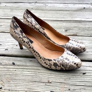 Ann Taylor Snakeskin Heel size 6M leather sole